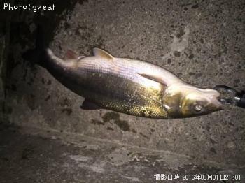 �ޥ륿������