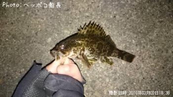 �����Υ���Х�