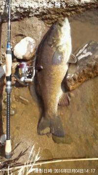 ¥¹¥â¡¼¥ë¥Þ¥¦¥¹