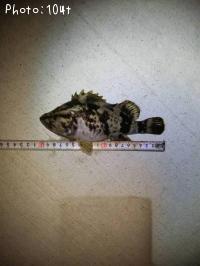 �����Υ���Х�