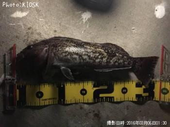 �����ʥ�