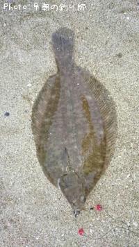 �ޥ����쥤