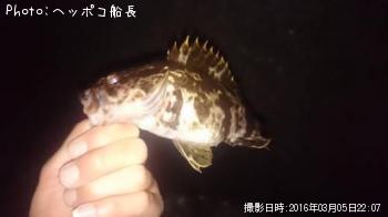 �����Υ���Х�