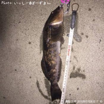 �����ʥ�