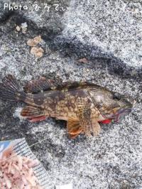 ���饫�֡�