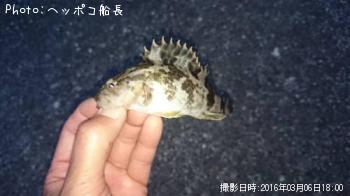 ¥¿¥±¥Î¥³¥á¥Ð¥ë