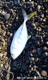 ���Сʥ�å���