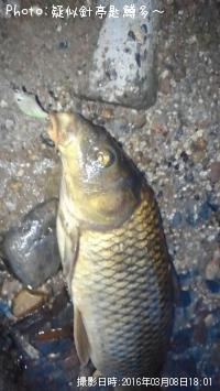 ��ʥ����ס�