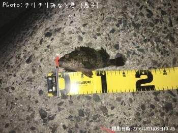 ¥Û¥´¥á¥Ð¥ë