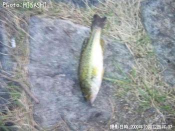 �֥�å��Х�