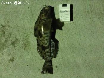 �����ʥ�