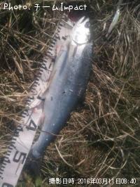 ¥µ¥¯¥é¥Þ¥¹