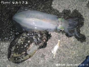 �����ꥤ��