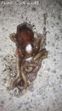 ��Ĺ����