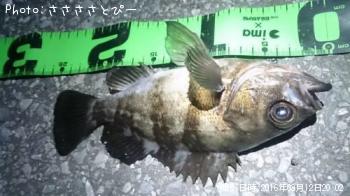 ��Х�������Х�