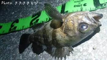 ��Х�������Х�