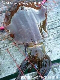 �����ꥤ��