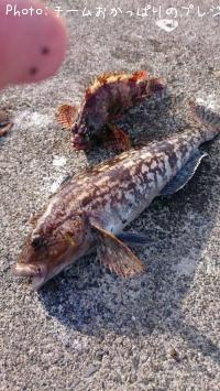 �����ʥ�