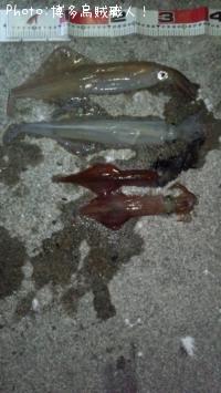 ��ꥤ�������󥵥�����