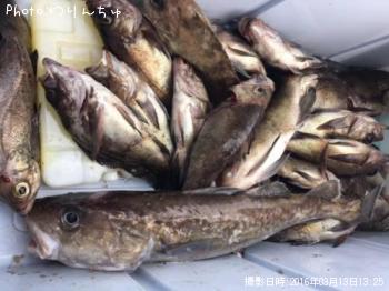 ¥á¥Ð¥ë¤È¥Þ¥À¥é