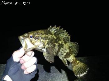 �����Υ���Х�