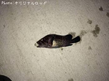 ¥½¥¤