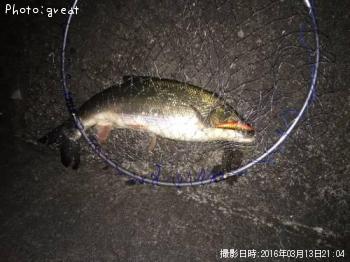 �ޥ륿������