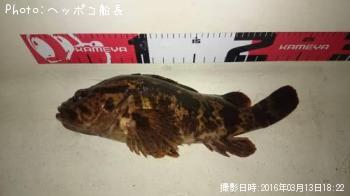 �����Υ���Х�