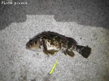 �����Υ���Х�