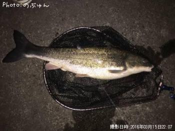 �ޥ륿������