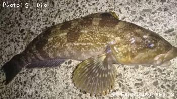 �����ʥ�