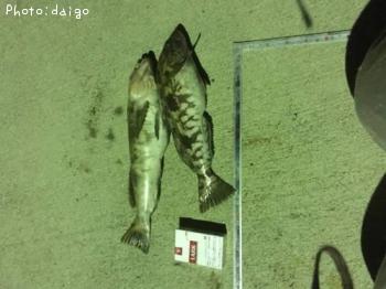 �����ʥ�