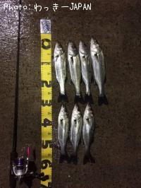 �����Х�