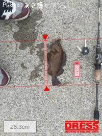 ������Х�