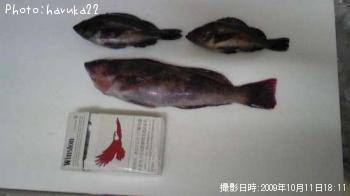 �����ʥᡡ��Х�