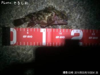 ��������������