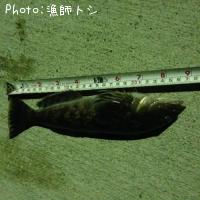 �����ʥ�