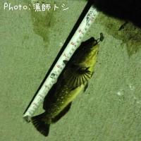 �����ʥ�