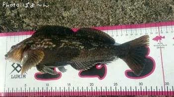 �����ʥ�