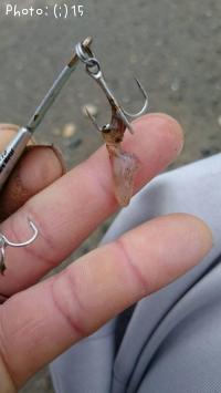 ¥¢¥ª¥ê¥¤¥«¤ÎÀÖ¤Á¤ã¤ó¡©¡©