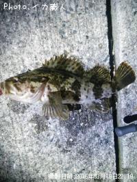 �����Υ���Х�