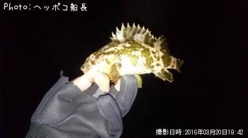 �����Υ���Х�