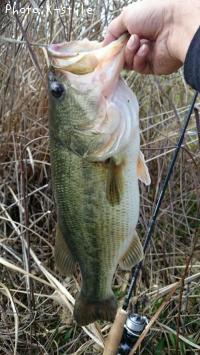 �֥�å��Х�