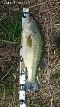 �֥�å��Х�