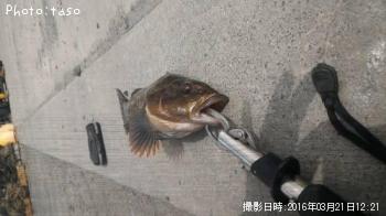 �����ʥ�