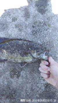 �֥�å��Х�