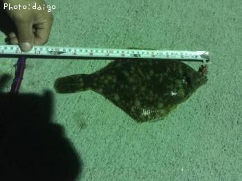 �ޥ����쥤