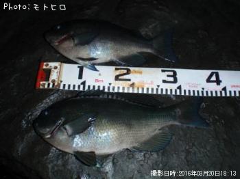 ¸ýÂÀ¥á¥¸¥Ê