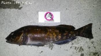 �����ʥ�