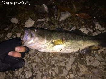 �֥�å��Х�